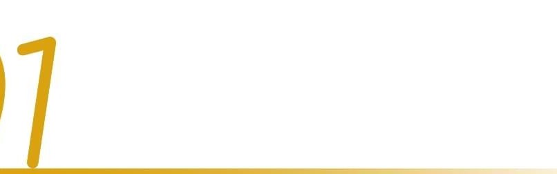 冲着周杰伦“一轮游”来，却嗑起了澳网和国窖1573的CP