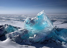 阿卡夺冠，重回世界第一！特朗普到场观看