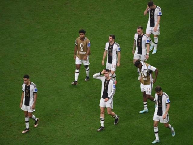 1669933146366050522.jpg 2F378BB7-DD7B-4E67-8B81-43A0B2E7.jpg